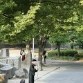 05 Chateau d Osaka - Moine mendiant Zen et joueur de cornemuse