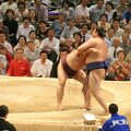 R9652 Nagoya - dohyo de sumo - Takamisakari sort Tokitenku