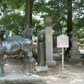R9999020-010 Fukuoka - Dazaifu - Kirin dragon cheval 