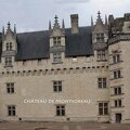 03 Château de Montsoreau.jpg