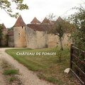 Château de Forges.jpg