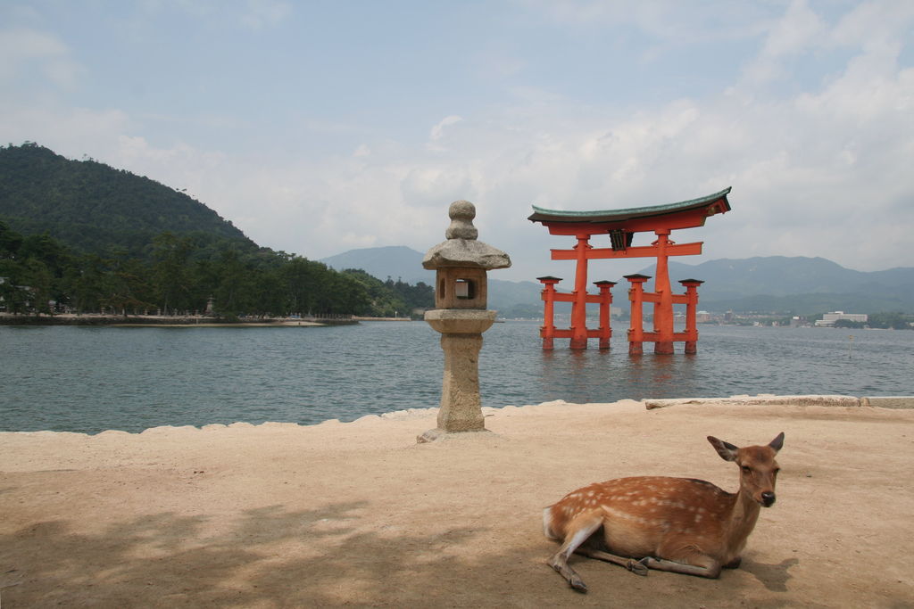 R0346_Miyajima_-_o_torii_du_temple_itsukushima.jpg