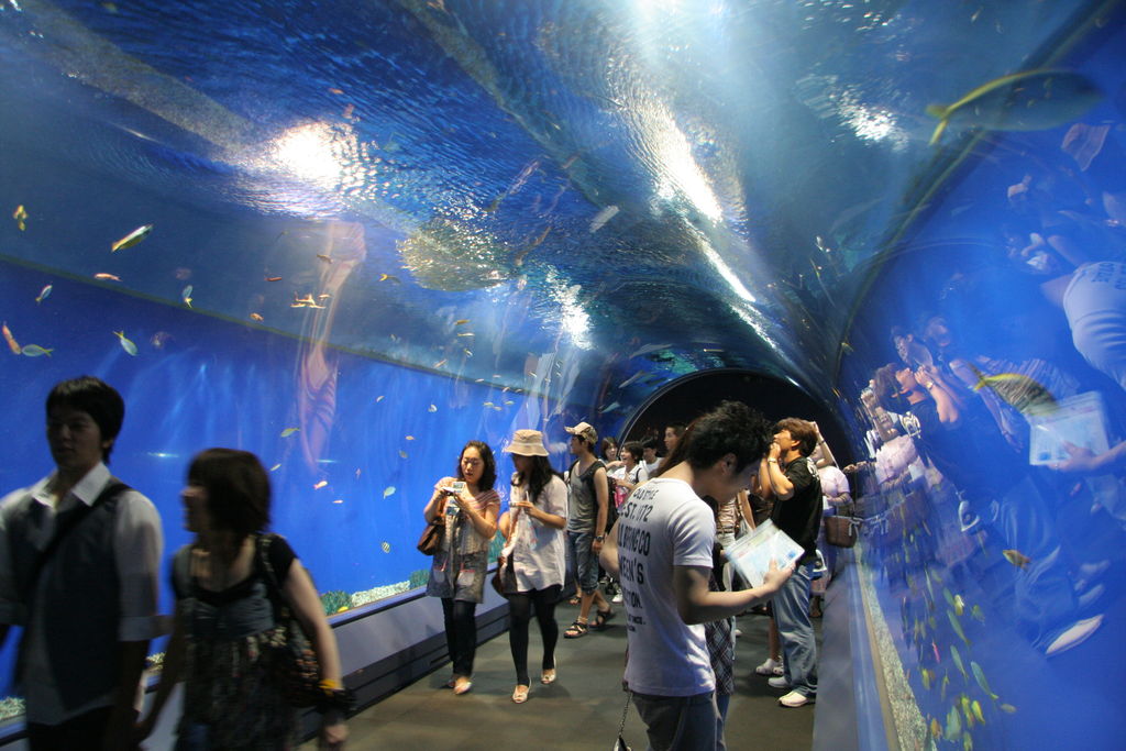 R0737 Osaka - Aquarium