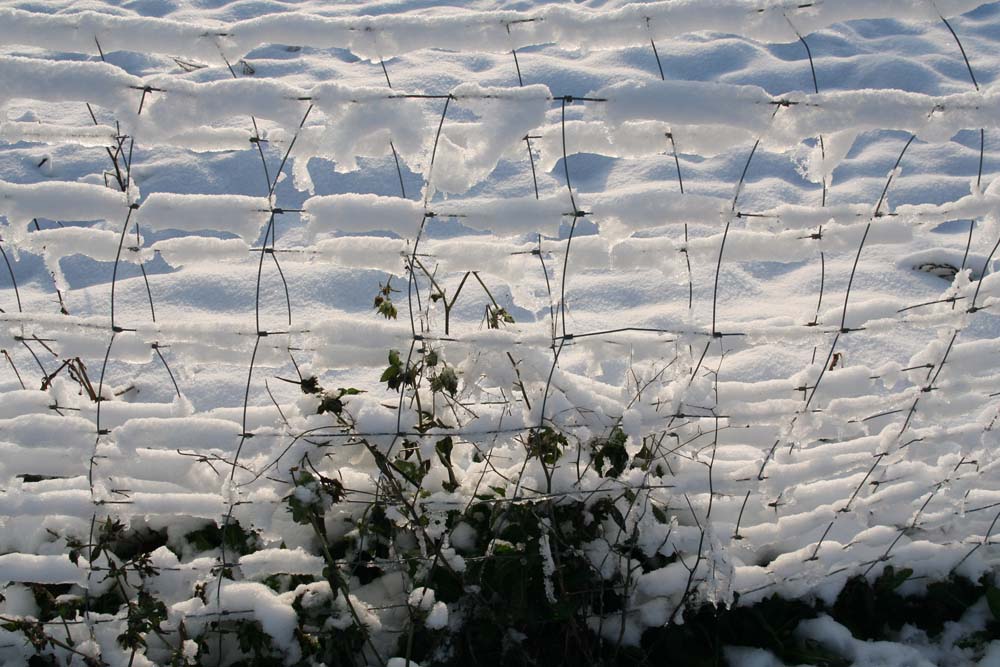 03 2012 neige archigny