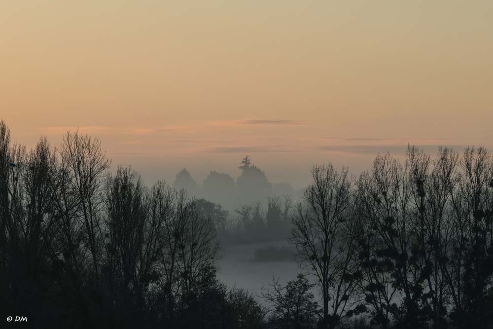 01 brume matinale